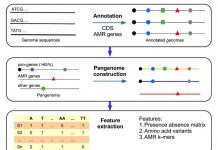 Giải mã gen kháng kháng sinh và bước tiến từ dữ liệu lớn: Hành trình khoa học từ Việt Nam